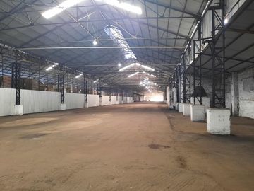 Ruta 21- Alvear - Galpón 3.000 m2.