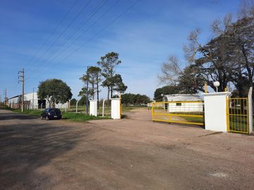 Ruta 21- Alvear - Galpón 3.000 m2.