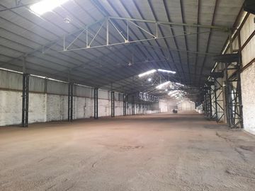 Ruta 21- Alvear - Galpón 3.000 m2.