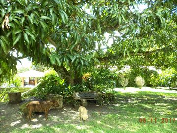 HERMOSA FINCA EN CONDOMINIO EN SOPETRAN