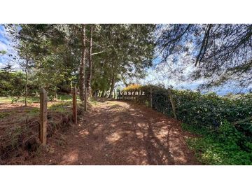 Finca Independiente Vereda Guamito Guarne