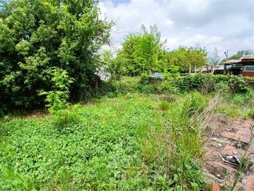 Sitio en Venta en sector El Ajial, comuna de Retiro.