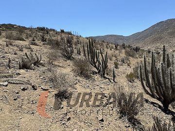 PARCELA EN HACIENDA EL MIRADOR DE MARQUESA