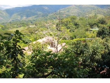 VENTA FINCA SAN JERONIMO, ANTIOQUIA