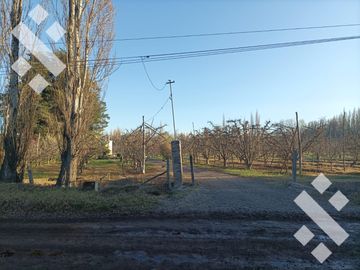 Venta de Chacra Calle Rimele a metros de la Ruta N° 151 - Cipolletti - Rio Negro