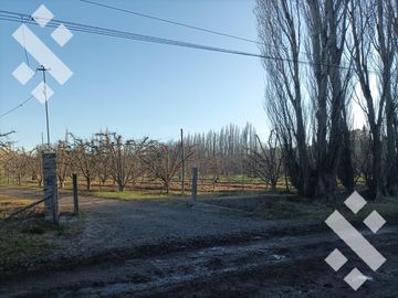 Venta de Chacra Calle Rimele a metros de la Ruta N° 151 - Cipolletti - Rio Negro