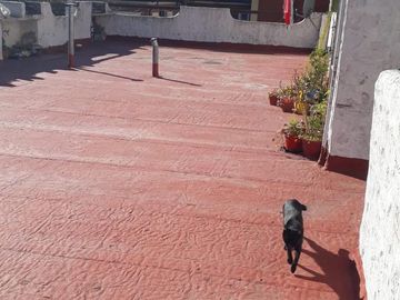 Departamento en  Pinamar