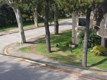 Departamento en  Pinamar