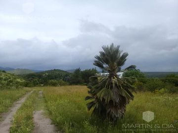 Quinta - Los Cocos