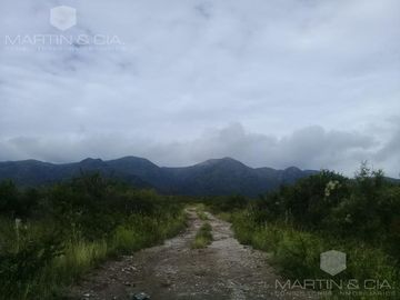 Quinta - Los Cocos