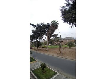 LOS OLIVOS VENTA DE HERMOSA Y AMPLIA CASA EN LOS OLIVOS