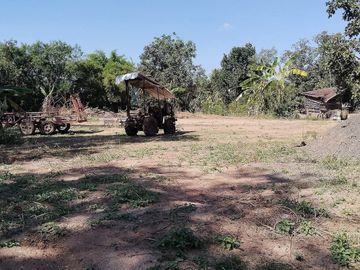 Land for sale in Chakkarat, Nakhon Ratchasima
