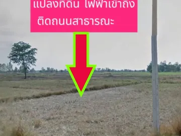 Land for sale in Chakkarat, Nakhon Ratchasima