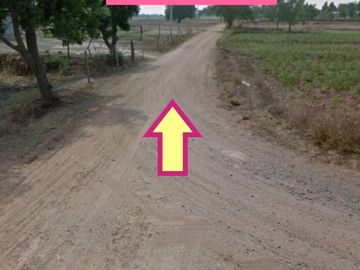 Land for sale in Chakkarat, Nakhon Ratchasima