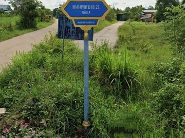 Land for sale in Chakkarat, Nakhon Ratchasima