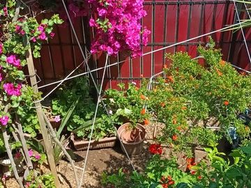 Casa en Venta en Cercano a sector de Mirador viejo