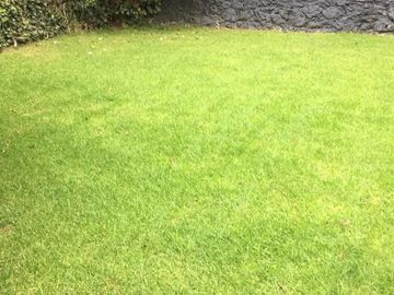 CASA EN VENTA EN INSURGENTES CUICUILCO DE 650M2