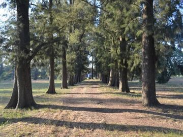 LOTE ZONA POLO - 32 hectáreas Gral. Rodríguez
