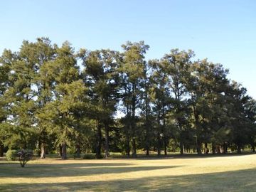 LOTE ZONA POLO - 32 hectáreas Gral. Rodríguez