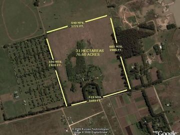 LOTE ZONA POLO - 32 hectáreas Gral. Rodríguez