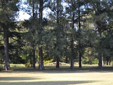 LOTE ZONA POLO - 32 hectáreas Gral. Rodríguez