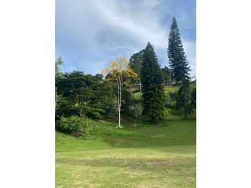 FINCA VEREDA EL TOTUMO, GIRARDOTA, ANTIOQUIA