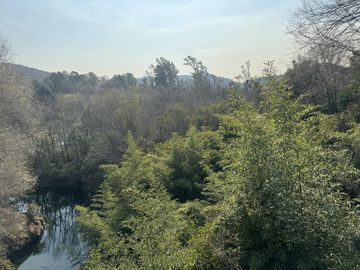 Complejo con bajada al rio en un lugar único de Villa los Aromos