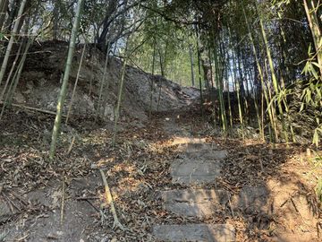Complejo con bajada al rio en un lugar único de Villa los Aromos