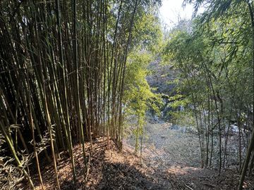 Complejo con bajada al rio en un lugar único de Villa los Aromos