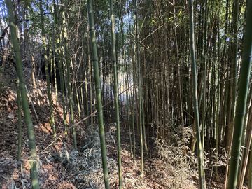 Complejo con bajada al rio en un lugar único de Villa los Aromos