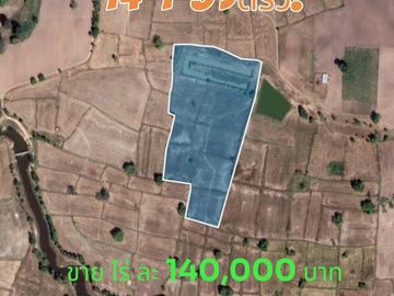 Land for sale in Chakkarat, Nakhon Ratchasima