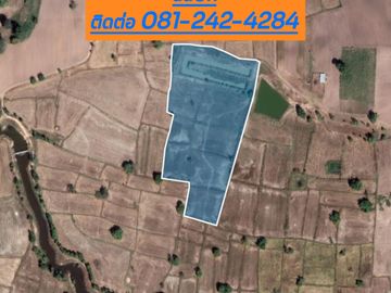 Land for sale in Chakkarat, Nakhon Ratchasima