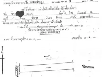 Land for sale in Chakkarat, Nakhon Ratchasima