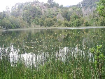Sitio en Venta en Bahía Erasmo