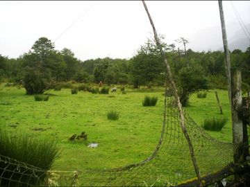 Sitio en Venta en Bahía Erasmo