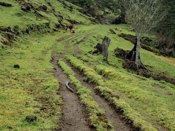 Sitio en Venta en Valle Laguna
