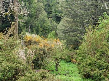 Sitio en Venta en Valle Laguna