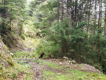 Sitio en Venta en Valle Laguna
