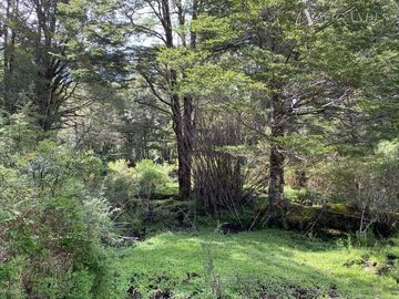 Sitio en Venta en Valle Laguna