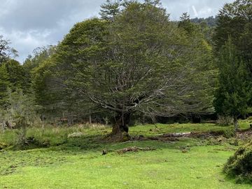 Sitio en Venta en Valle Laguna