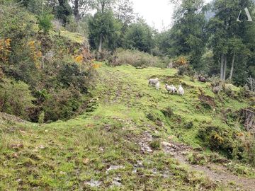 Sitio en Venta en Valle Laguna