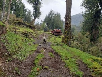 Sitio en Venta en Valle Laguna