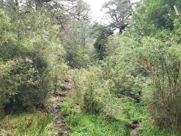 Sitio en Venta en Valle Laguna