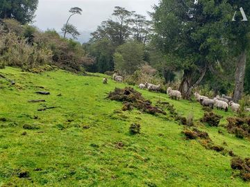 Sitio en Venta en Valle Laguna