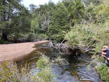 Sitio en Venta en Valle Laguna