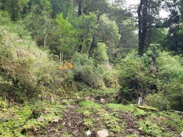 Sitio en Venta en Valle Laguna