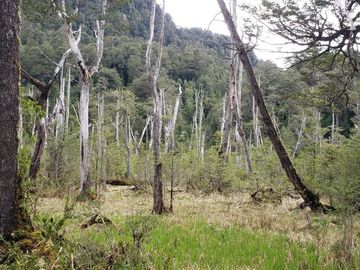 Sitio en Venta en Valle Laguna