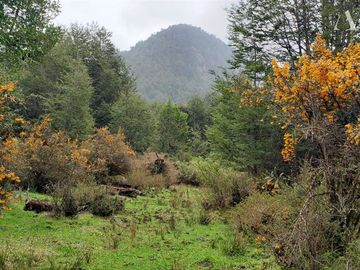 Sitio en Venta en Valle Laguna