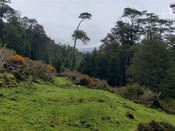 Sitio en Venta en Valle Laguna