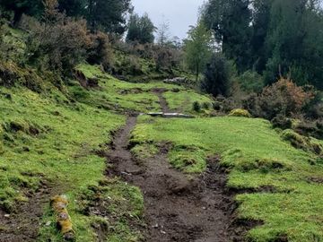 Sitio en Venta en Valle Laguna